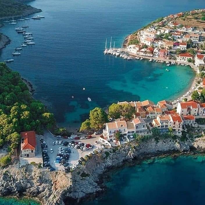 Amazing Assos